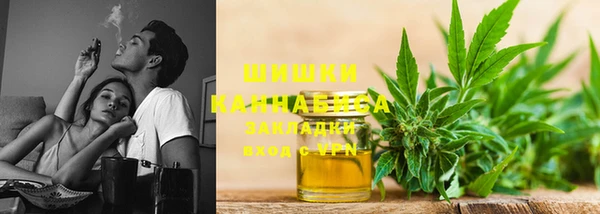 твердый Горнозаводск