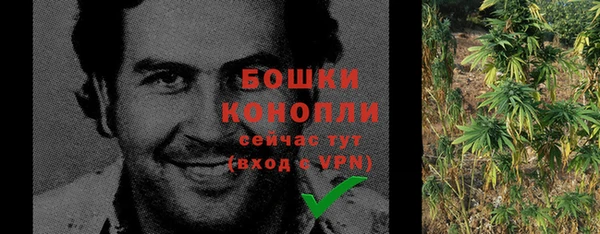 spice Горняк