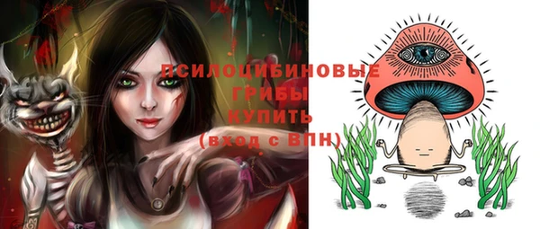 бошки Вязьма